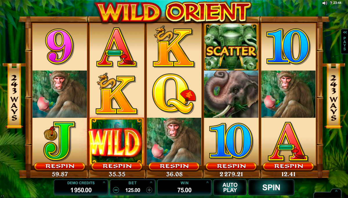 Wild Orient
